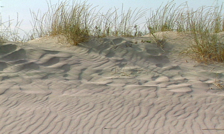 L'érosion par le vent